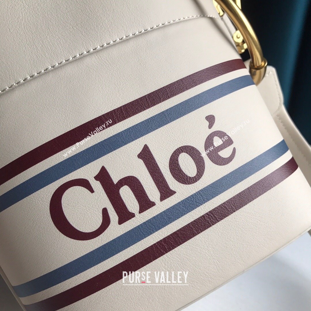 Chloe Roy Smooth Calfskin Bucket Bag White 2021 (SSZ-21082801)