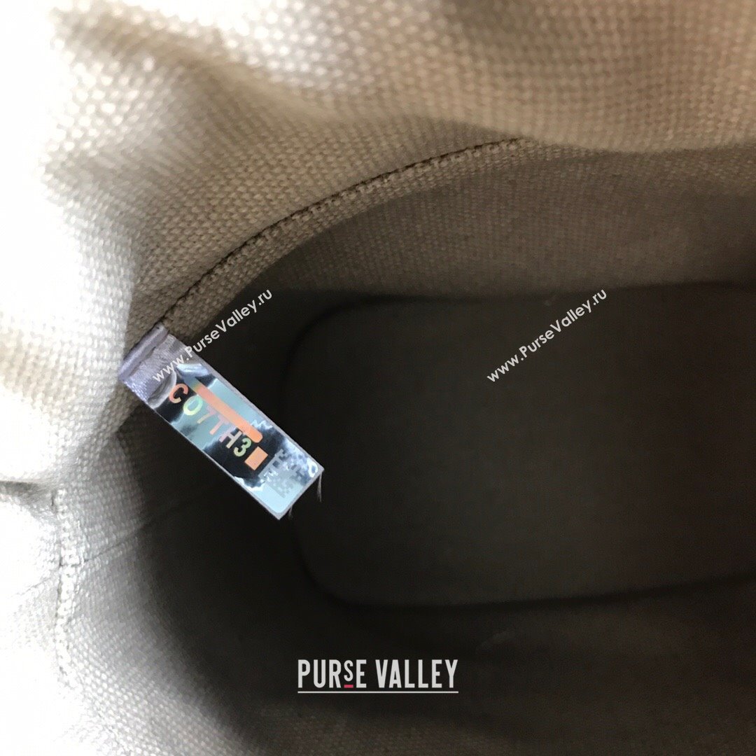 Chloe Roy Smooth Calfskin Bucket Bag White 2021 (SSZ-21082801)