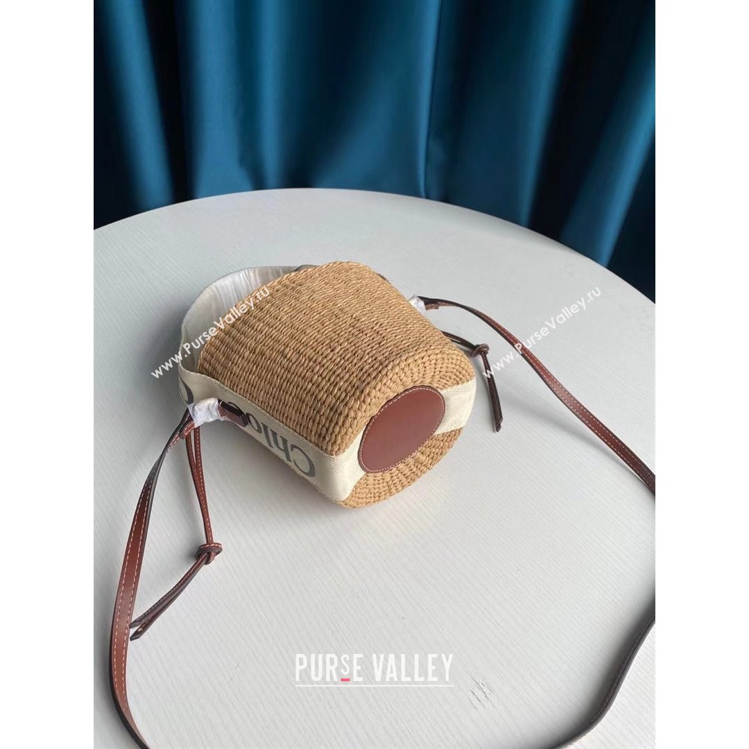 Chloe Small Woody Basket Bag Beige/White 2021 03 (SSZ-21082805)