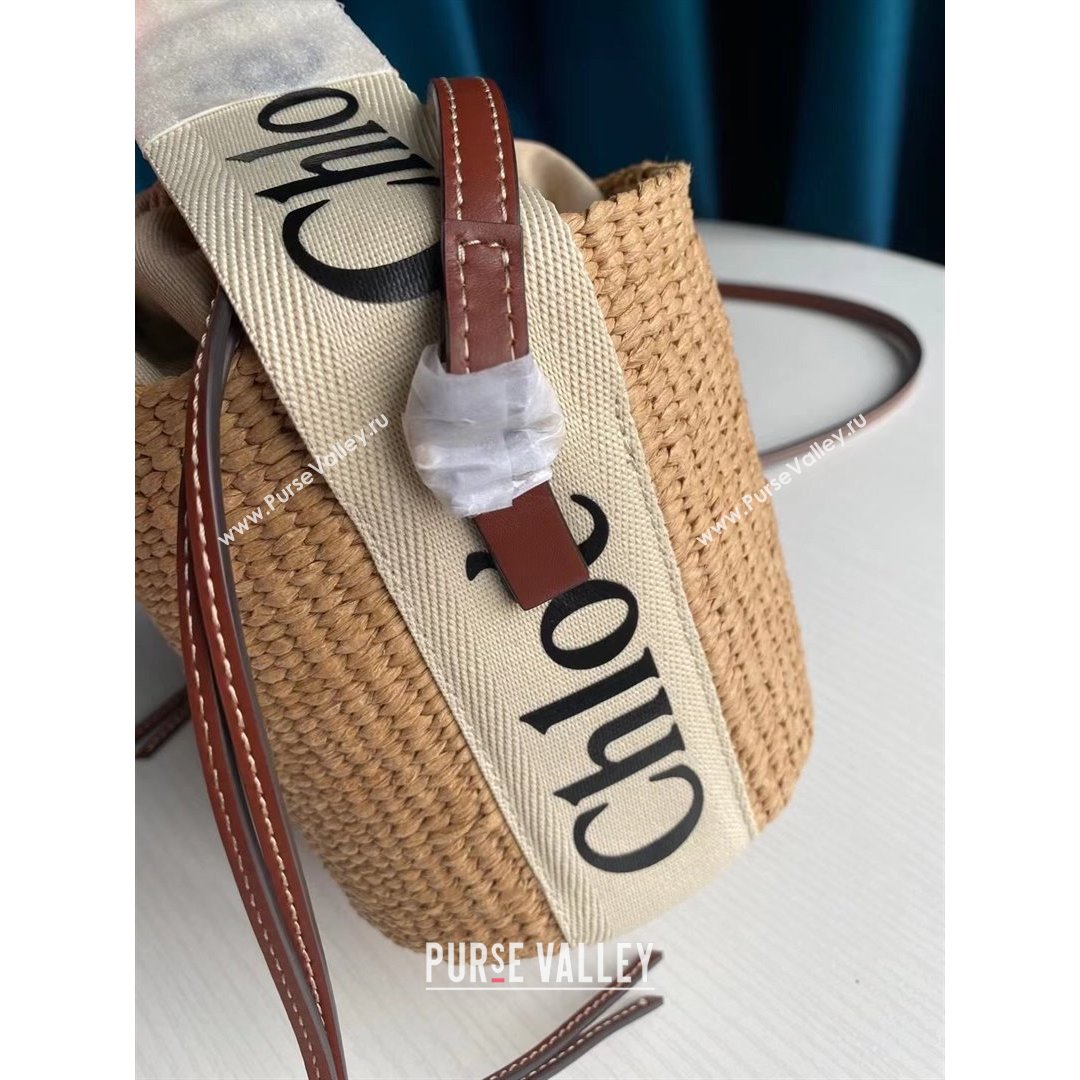 Chloe Small Woody Basket Bag Beige/White 2021 03 (SSZ-21082805)
