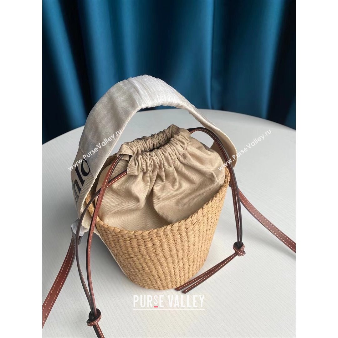 Chloe Small Woody Striped Basket Bag Brown/Beige/White 2021 (SSZ-21082803)