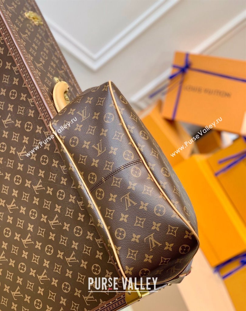 Louis Vuitton Graceful PM Monogram Canvas Hobo Bag M40352 2025 (KI-250212006)