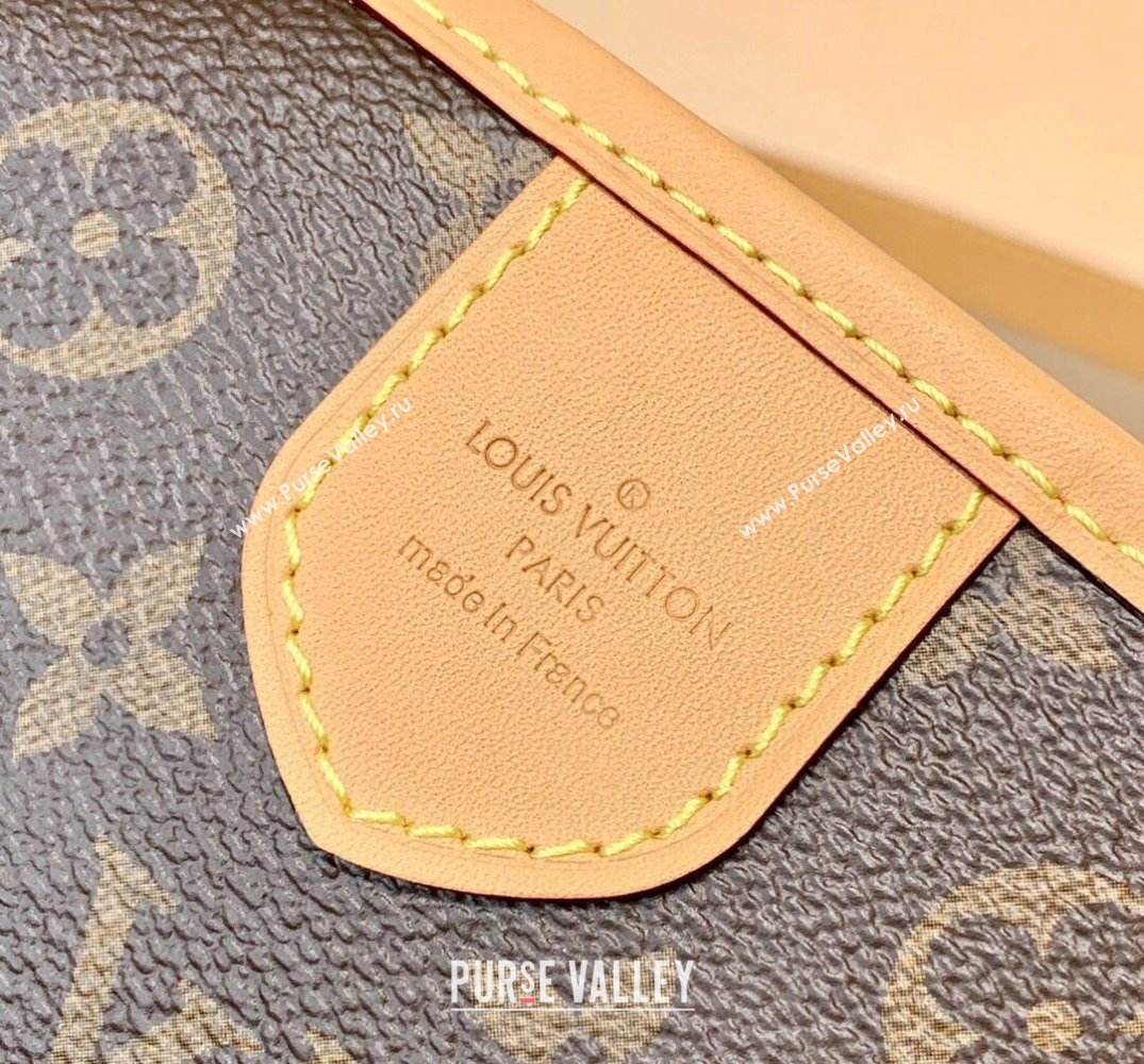 Louis Vuitton Graceful PM Monogram Canvas Hobo Bag M40352 2025 (KI-250212006)