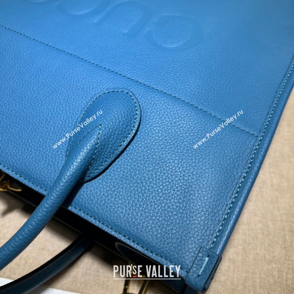 Gucci Leather Small Tote Bag with Gucci logo 674822 Blue 2022 (DLH-22011729)