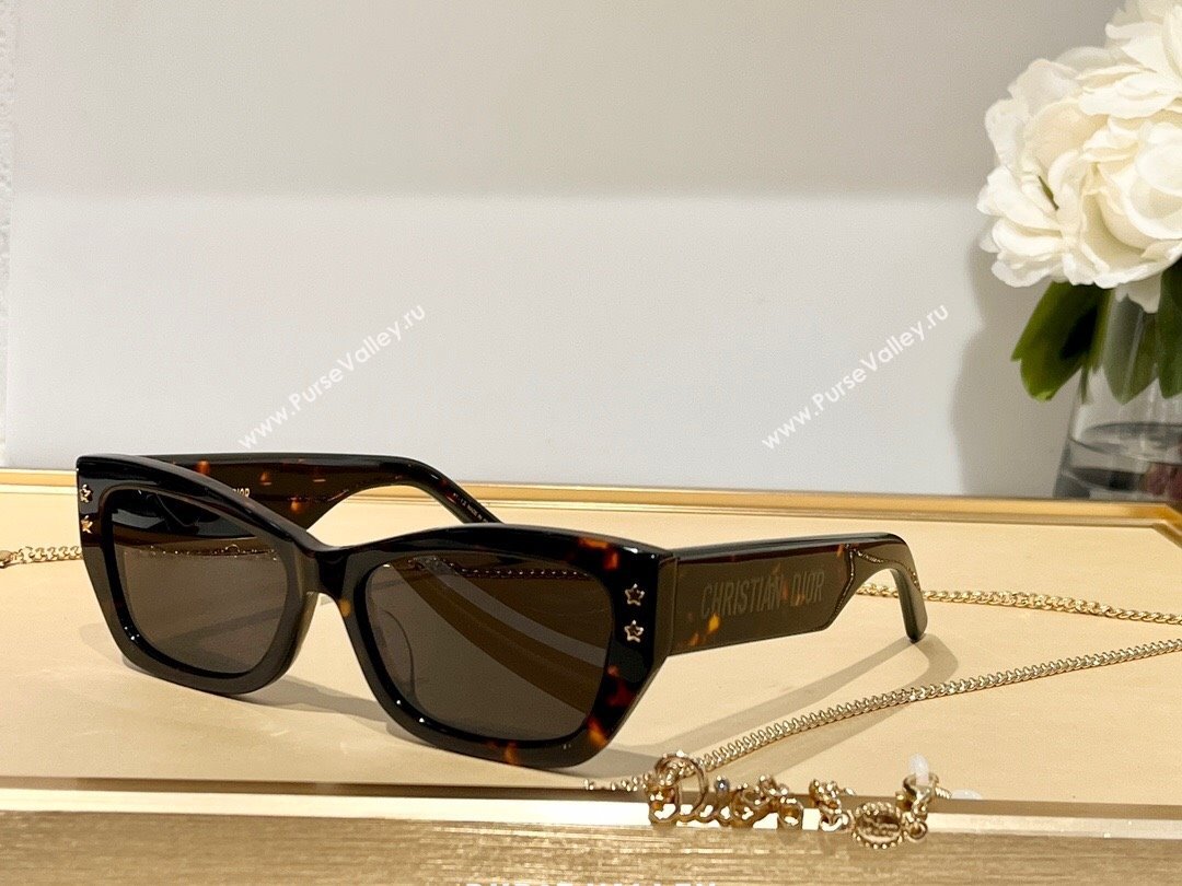 Dior DiorPacific S2U Sunglasses Brown 02 2023 (A-23120831)