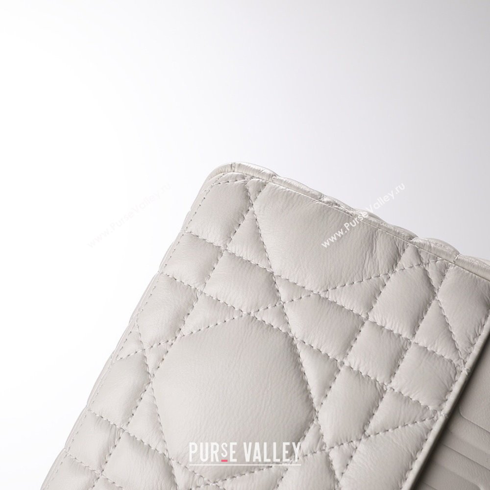 Dior Large Caro Chain Bag in Quilted Macrocannage Calfskin White 2024 (DMZ-24052232)