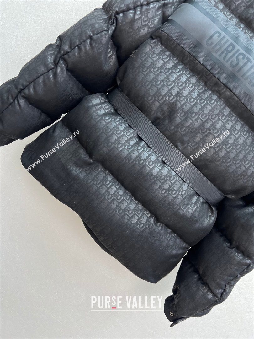 Dior DiorAlps Bleted Puffer Jacket D101819 Black 2024 (Q-24101819)