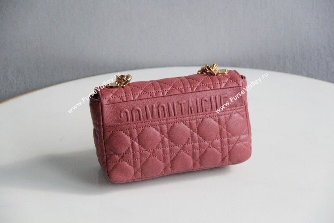 Dior Small Caro Chain Bag in Soft Cannage Calfskin Pink 2024 (DMZ-24052210)