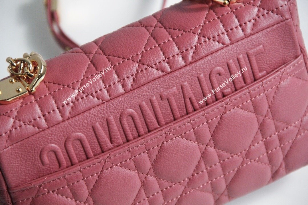 Dior Small Caro Chain Bag in Soft Cannage Calfskin Pink 2024 (DMZ-24052210)