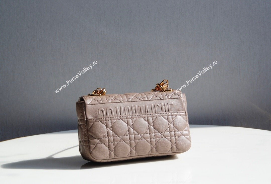 Dior Small Caro Chain Bag in Soft Cannage Calfskin Warm Taupe 2024 (DMZ-24052216)