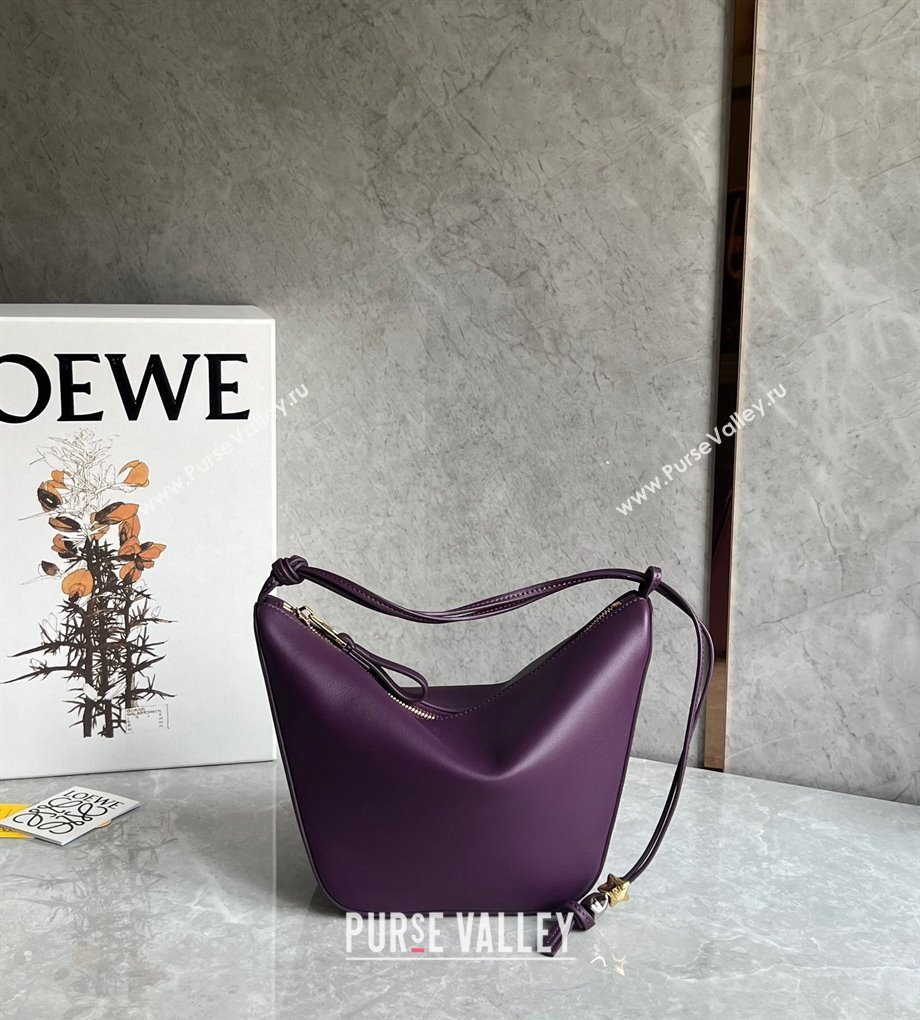 Loewe Mini Hammock Hobo bag in Classic Calfskin Dark Purple 2023 262315 (Ys-240202042)