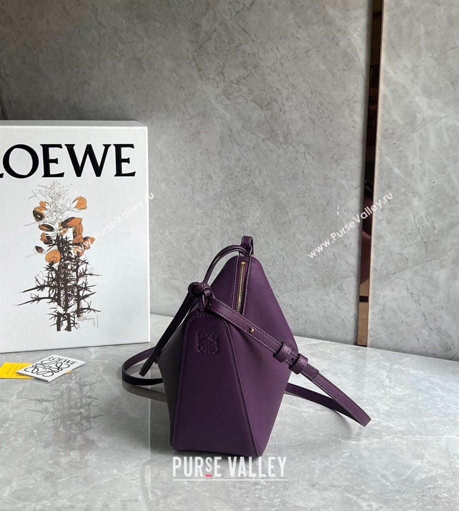 Loewe Mini Hammock Hobo bag in Classic Calfskin Dark Purple 2023 262315 (Ys-240202042)