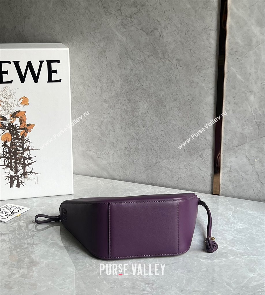 Loewe Mini Hammock Hobo bag in Classic Calfskin Dark Purple 2023 262315 (Ys-240202042)