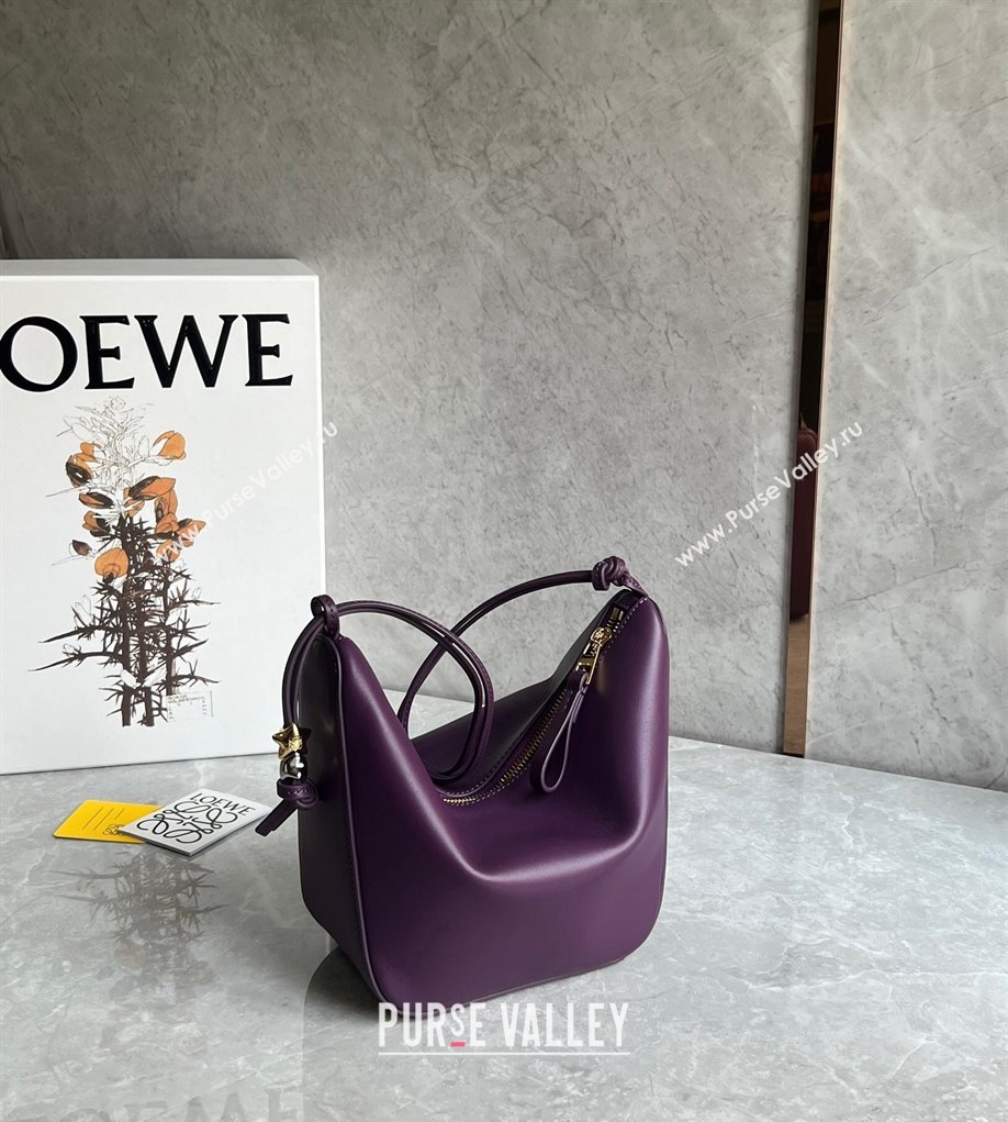 Loewe Mini Hammock Hobo bag in Classic Calfskin Dark Purple 2023 262315 (Ys-240202042)