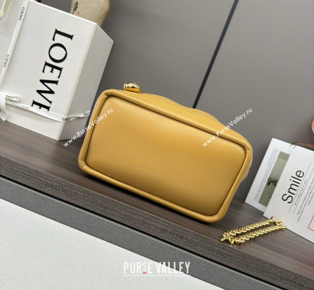 Loewe Small Squeeze bag in nappa lambskin Yellow 2023 652329 (Ys-240418052)