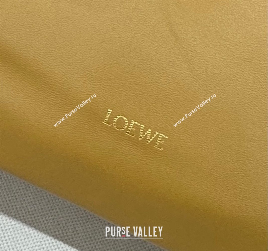 Loewe Small Squeeze bag in nappa lambskin Yellow 2023 652329 (Ys-240418052)