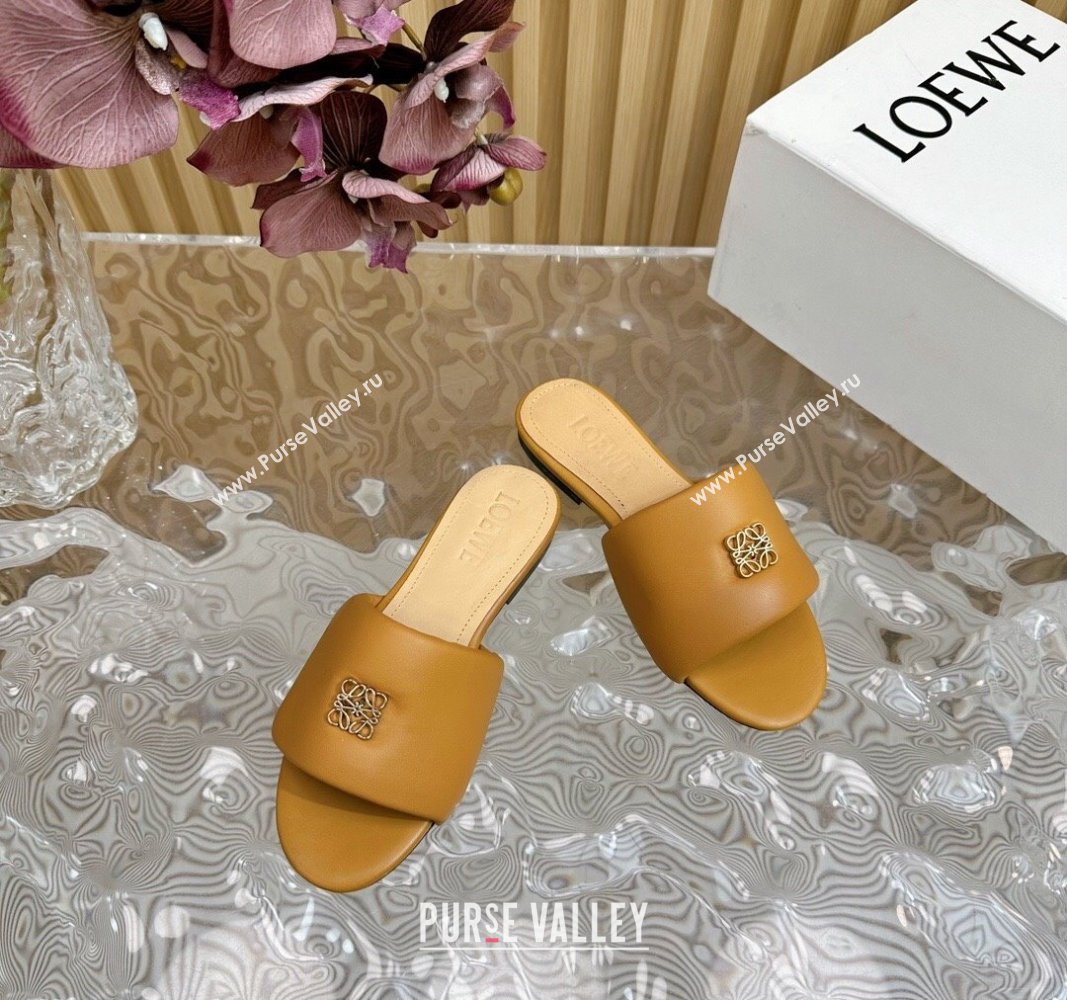 Loewe Nappa Leather Flat Slides Sandal Apricot 2024 0703 (KL-240703065)