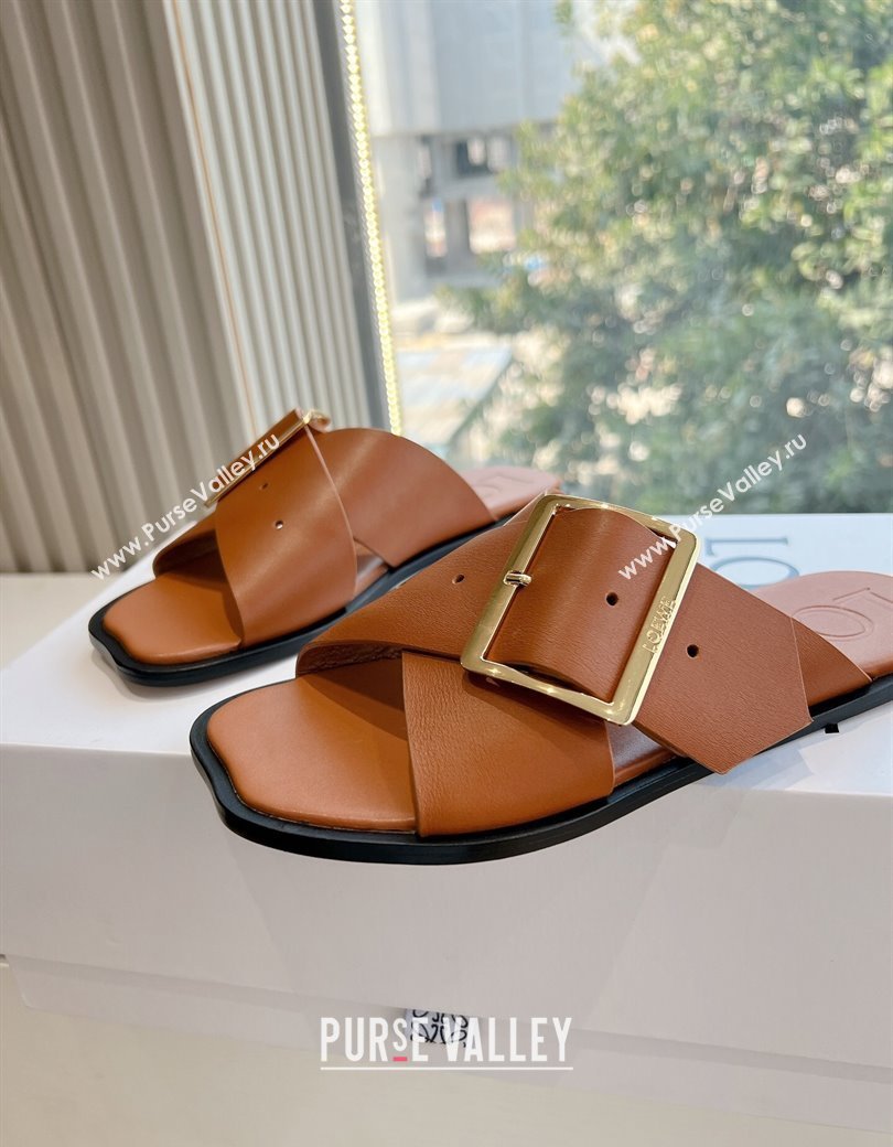 Loewe Campo Calfskin Flat Slides Sandal with Buckle Strap Brown 2025 G022 (KL-250221081)