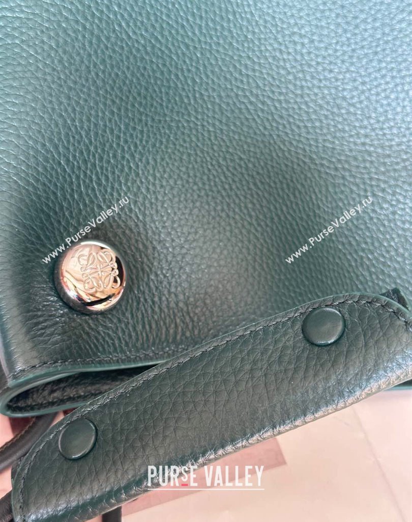 Loewe Large Pebble Hobo Bag in Soft Grained Calfskin Evergreen 2025 9530 (nana-250408032)