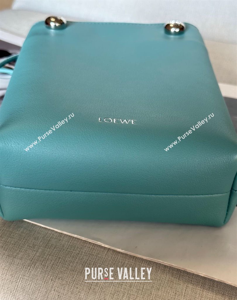 Loewe Pebble pouch Mini Bag in Smooth Calfskin Water Blue 2025 9531 (nana-250408023)