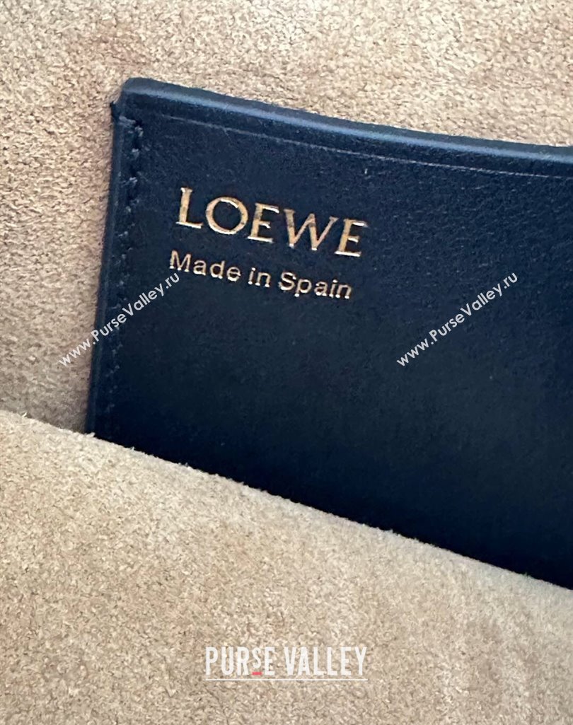 Loewe Pebble pouch Mini Bag in Smooth Calfskin Black 2025 9531 (nana-250408026)