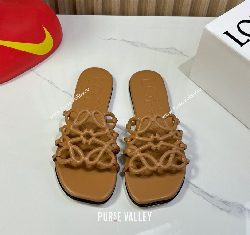 Loewe Petal Anagram flat slides sandal in soft calfskin Brown2 2025 (GDX-250605088)