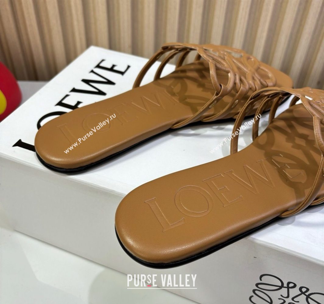 Loewe Petal Anagram flat slides sandal in soft calfskin Brown2 2025 (GDX-250605088)