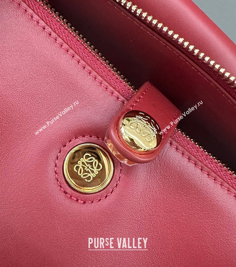 Loewe Medium Madrid bag in supple calfskin Burnt Red 2025 052451 (YS-250801042)