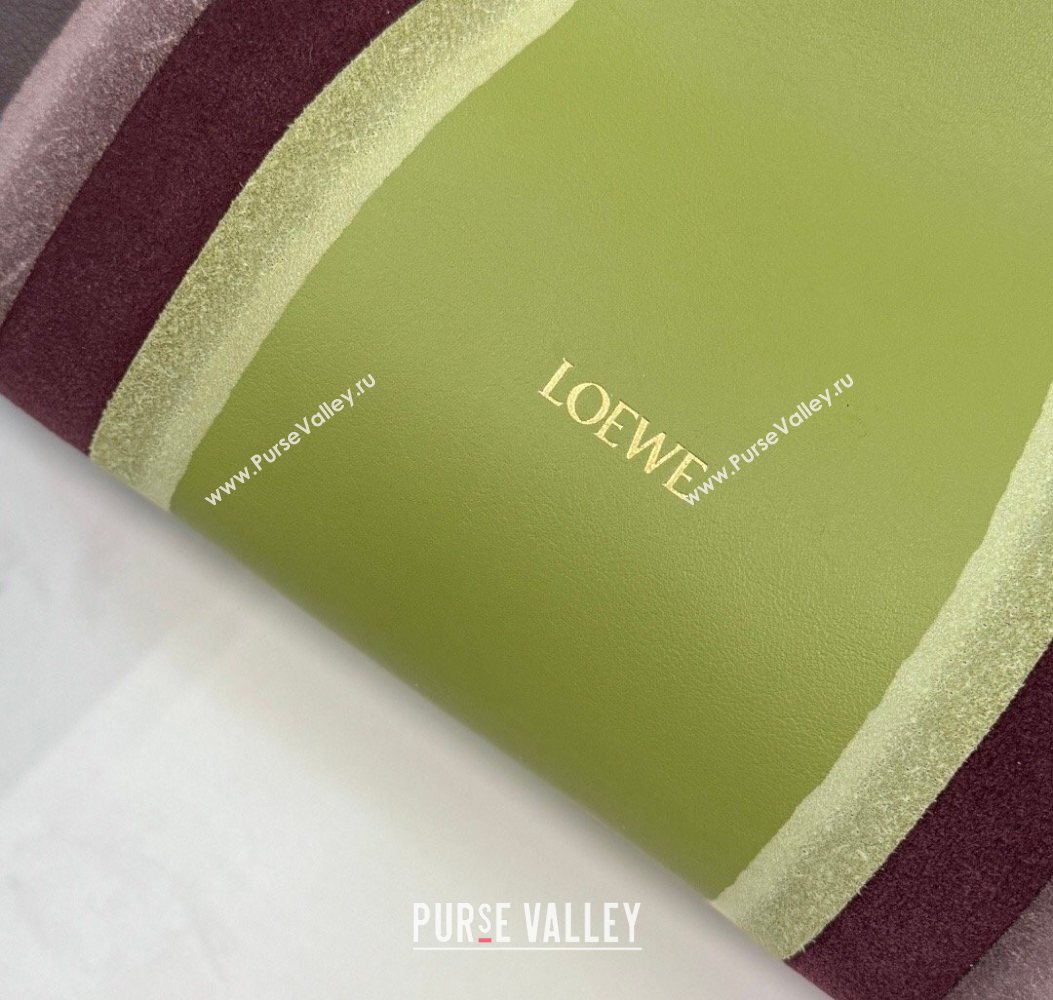 Loewe Medium Flamenco clutch bag Landscape in nappa calfskin leather Chocolate/Light Moss Green 2026 262585 (YY-260121065)