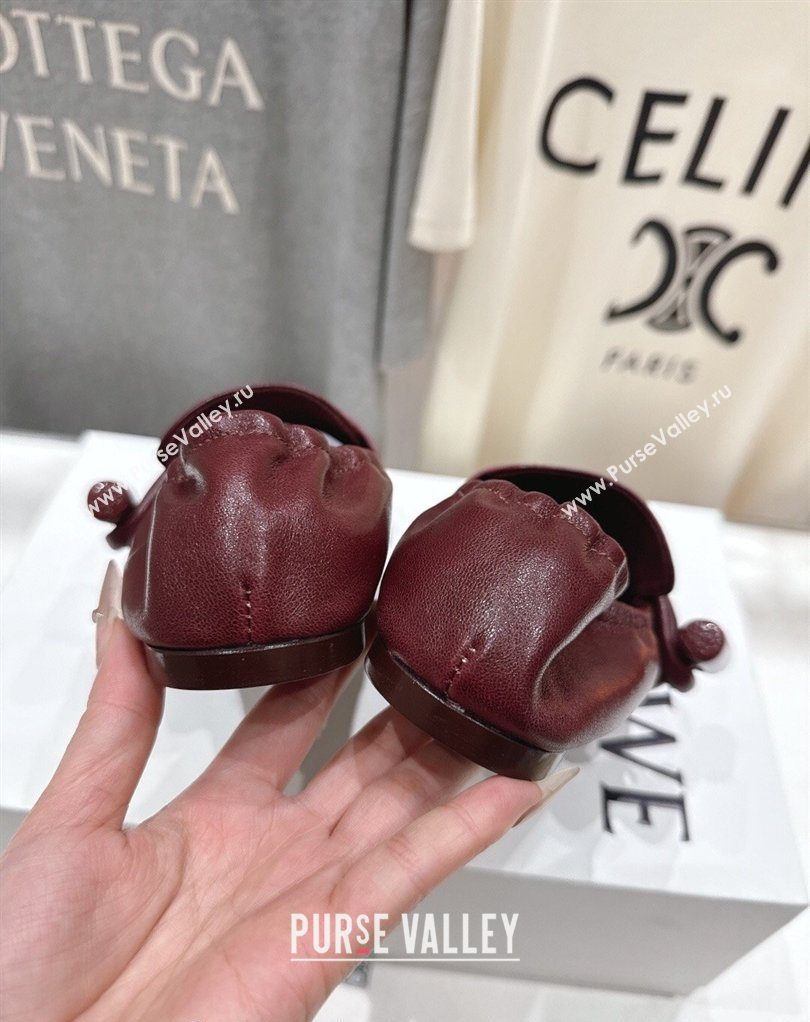 Loewe Toggle Loafers in Shiny Smooth Calfskin Leather Burnt Red 2026 (MD-260226011)