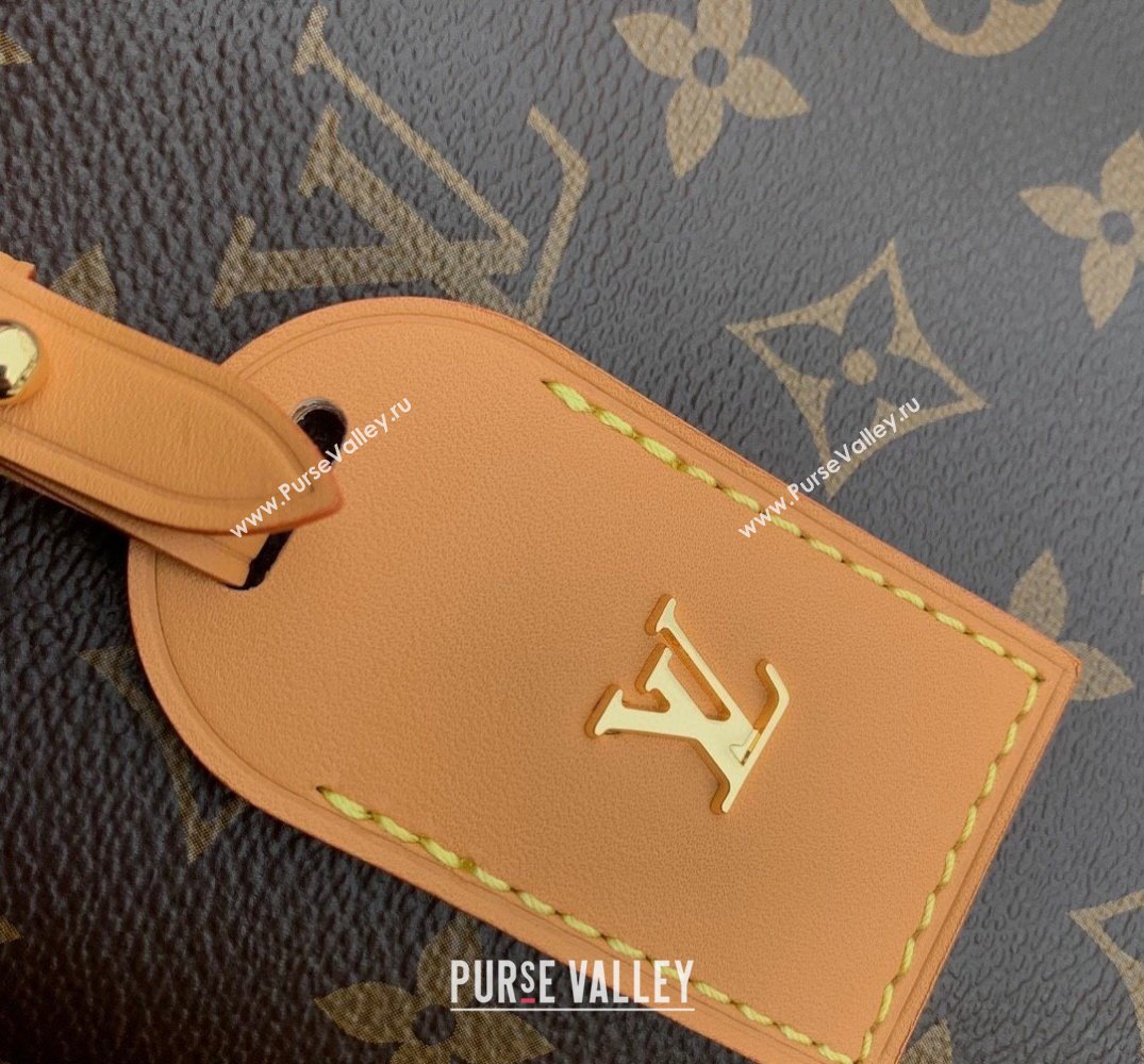 Louis Vuitton Carryall PM Hobo Bag M46203 Monogram Canvas/Nude 2025 (KI-250211060)