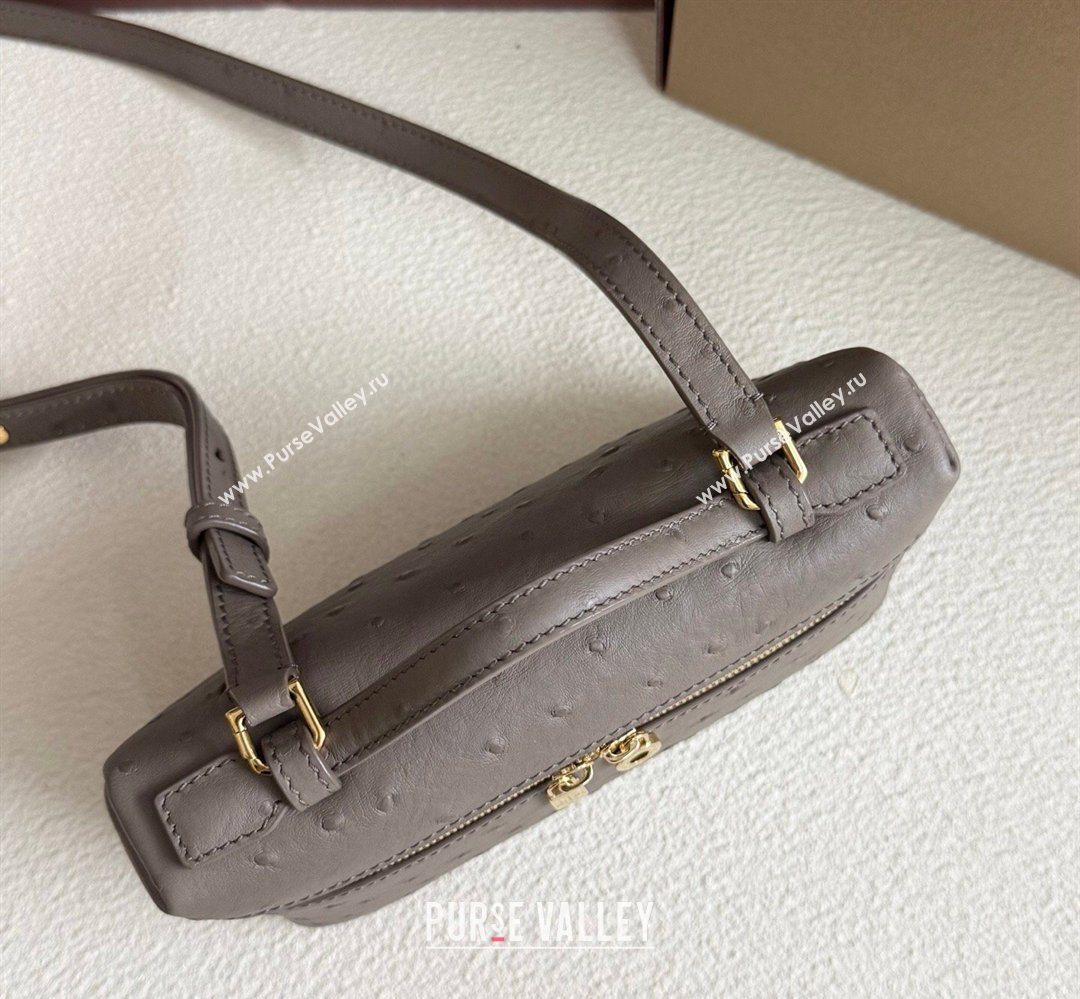 Loro Piana LP Extra Pocket Pouch L19 in Ostrich Embossed Leather Taupe/Gold 2026 FAI8393 (YY-260408014)