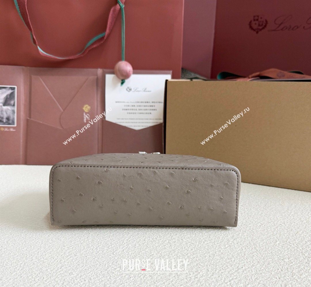 Loro Piana LP Extra Pocket Pouch L19 in Ostrich Embossed Leather Taupe/Silver 2026 FAI8393 (YY-260408015)