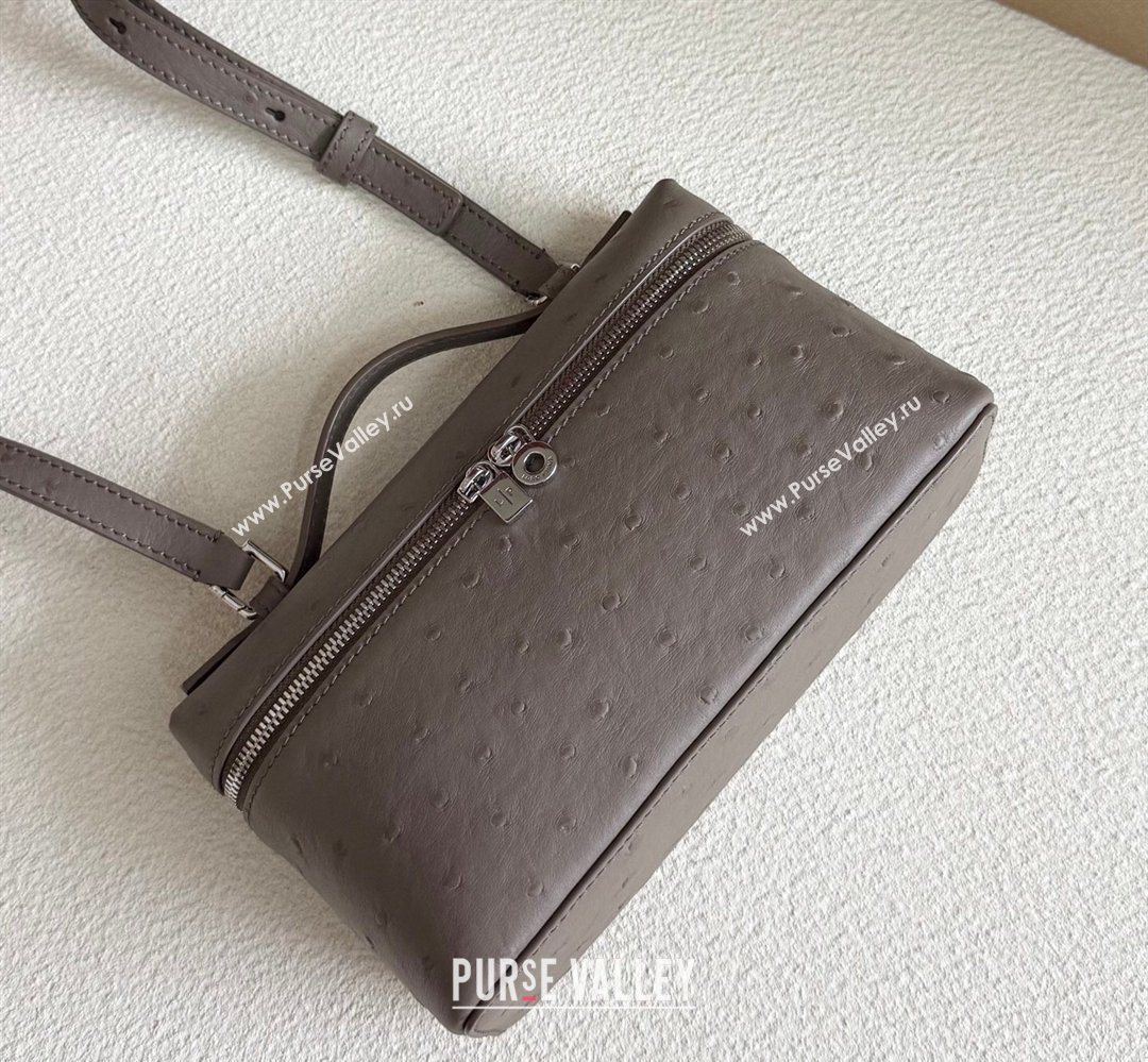 Loro Piana LP Extra Pocket Pouch L19 in Ostrich Embossed Leather Taupe/Silver 2026 FAI8393 (YY-260408015)