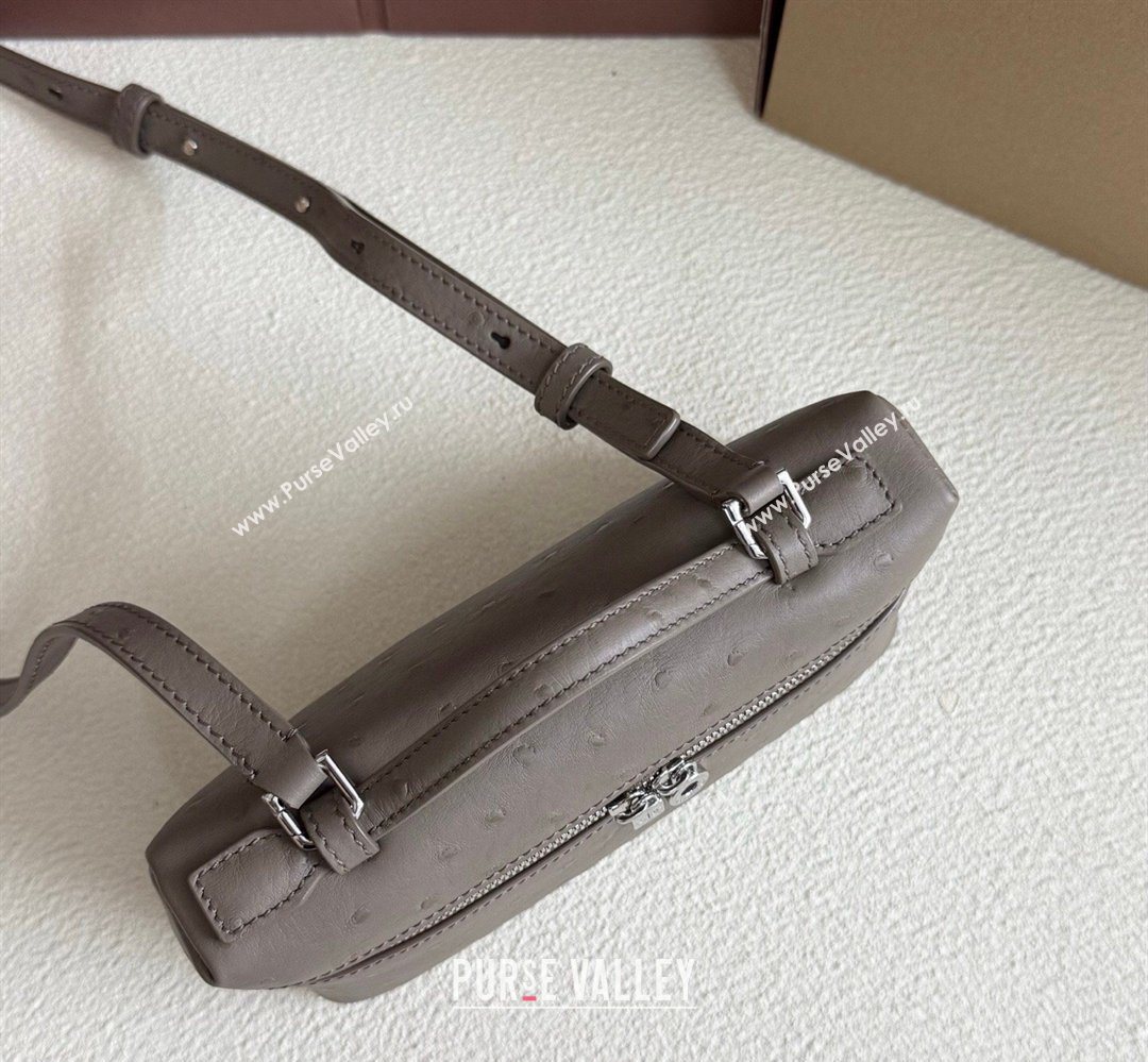 Loro Piana LP Extra Pocket Pouch L19 in Ostrich Embossed Leather Taupe/Silver 2026 FAI8393 (YY-260408015)
