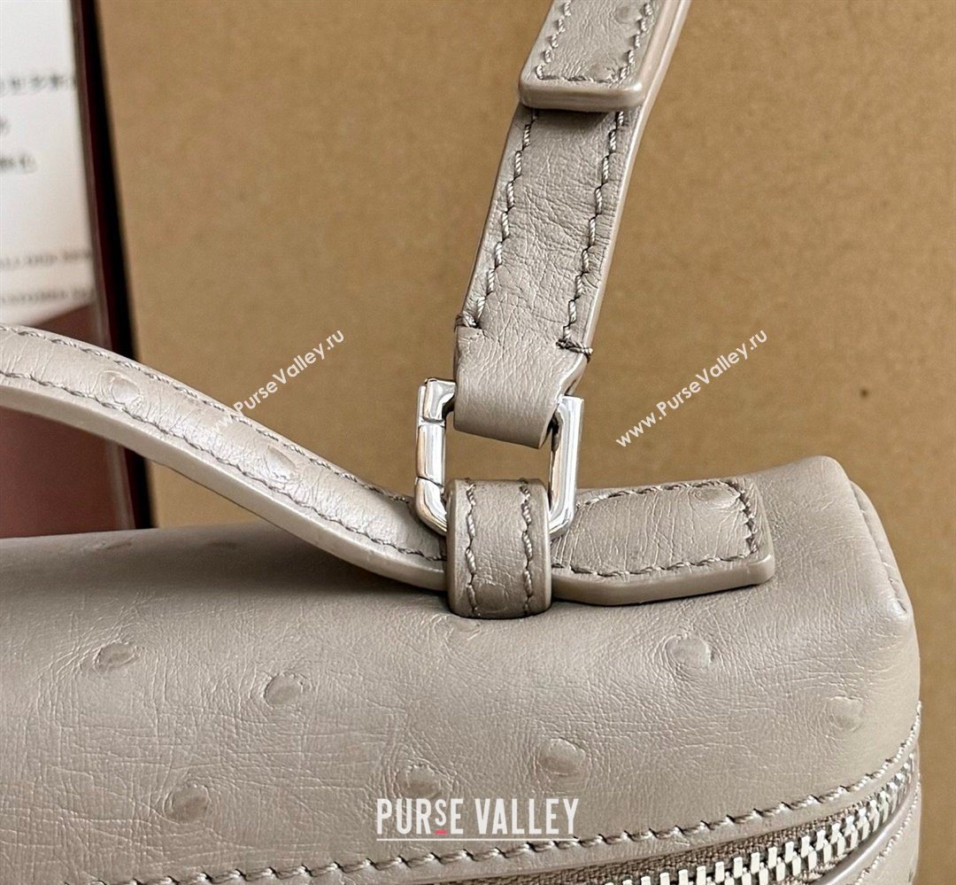 Loro Piana LP Extra Pocket Pouch L19 in Ostrich Embossed Leather Taupe/Silver 2026 FAI8393 (YY-260408015)