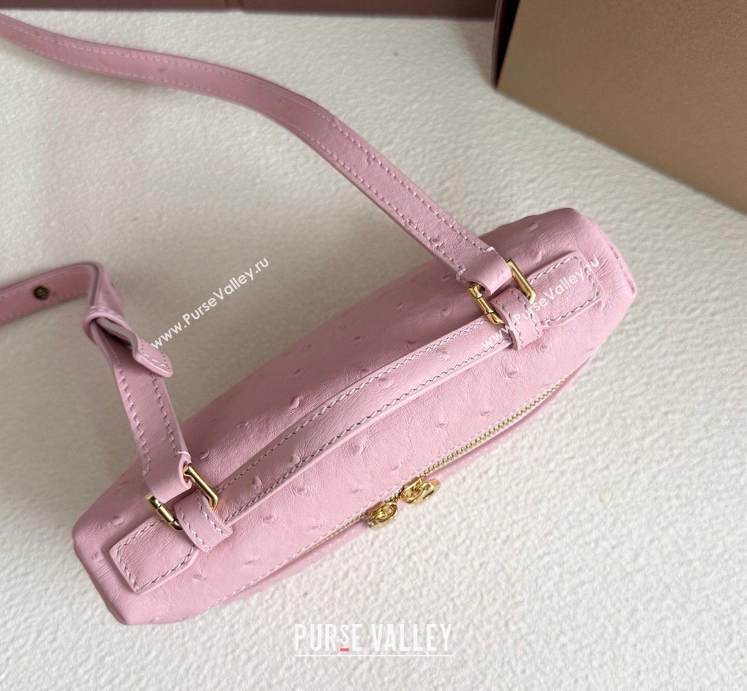 Loro Piana LP Extra Pocket Pouch L19 in Ostrich Embossed Leather Sakura/Gold 2026 FAI8393 (YY-260408016)