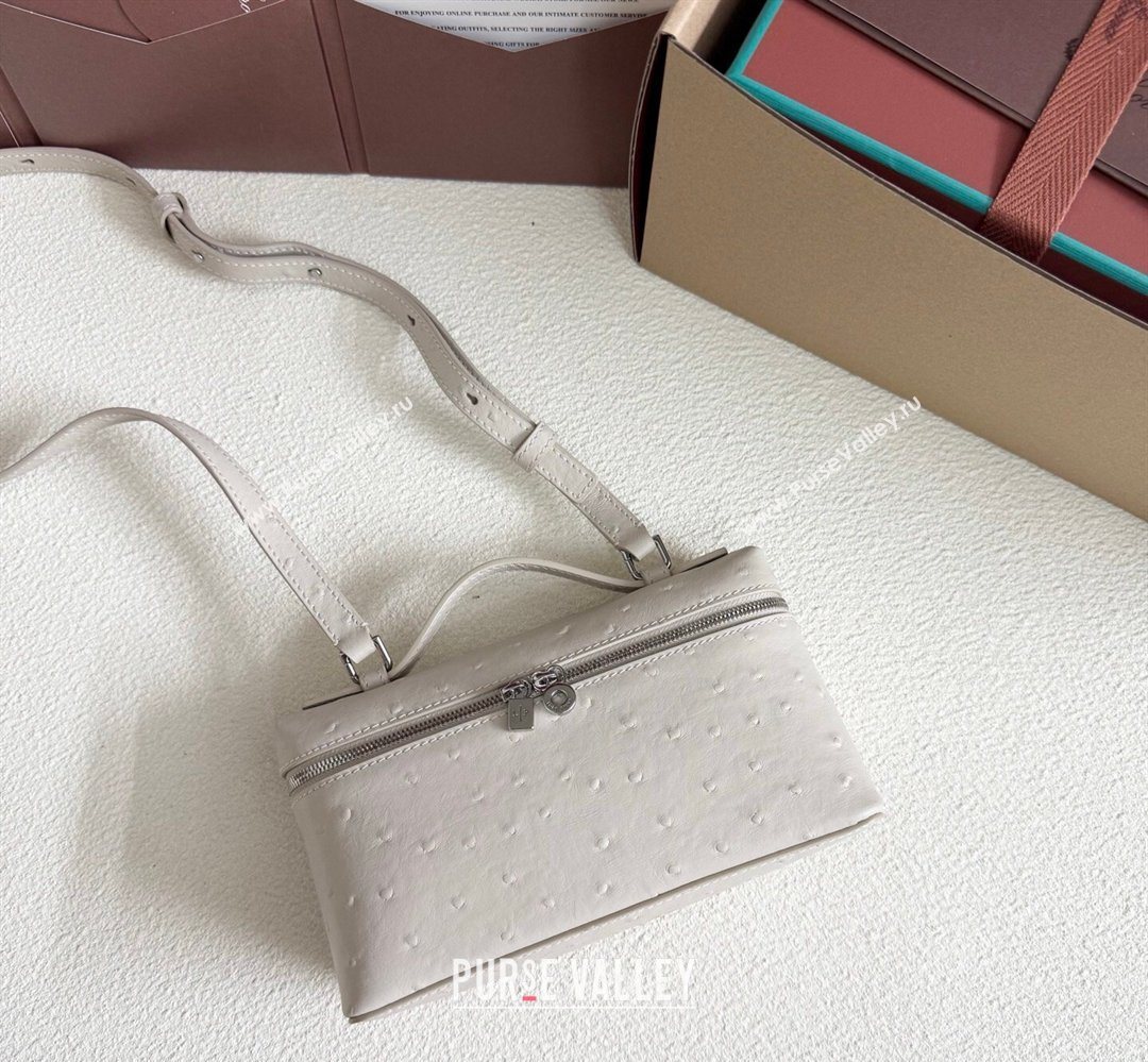 Loro Piana LP Extra Pocket Pouch L19 in Ostrich Embossed Leather Light Beige/Silver 2026 FAI8393 (YY-260408018)
