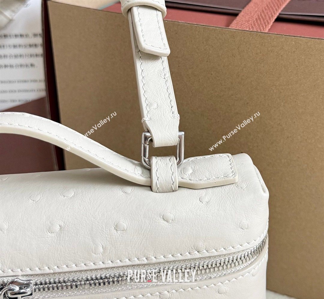 Loro Piana LP Extra Pocket Pouch L19 in Ostrich Embossed Leather Light Beige/Silver 2026 FAI8393 (YY-260408018)