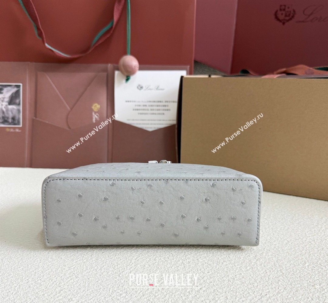 Loro Piana LP Extra Pocket Pouch L19 in Ostrich Embossed Leather Eucalyptus/Silver 2026 FAI8393 (YY-260408021)