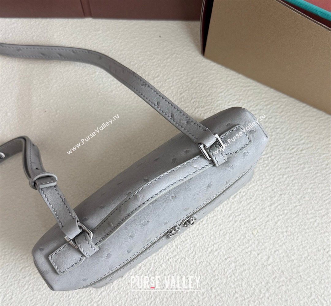 Loro Piana LP Extra Pocket Pouch L19 in Ostrich Embossed Leather Eucalyptus/Silver 2026 FAI8393 (YY-260408021)