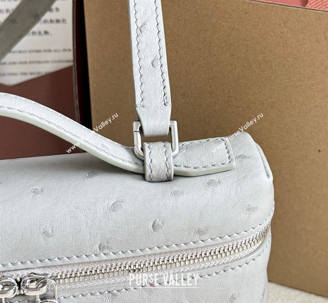 Loro Piana LP Extra Pocket Pouch L19 in Ostrich Embossed Leather Eucalyptus/Silver 2026 FAI8393 (YY-260408021)