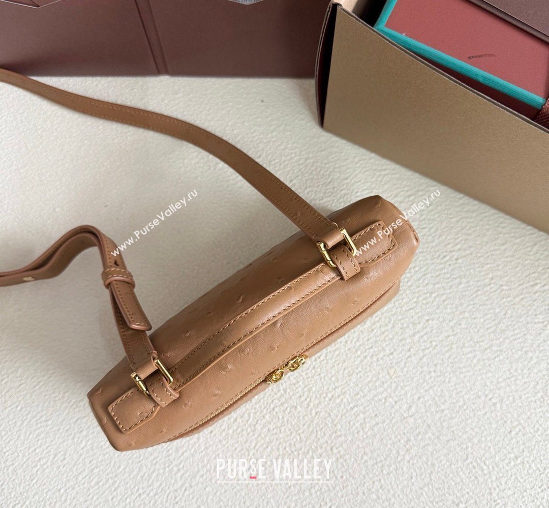 Loro Piana LP Extra Pocket Pouch L19 in Ostrich Embossed Leather Brown/Gold 2026 FAI8393 (YY-260408024)