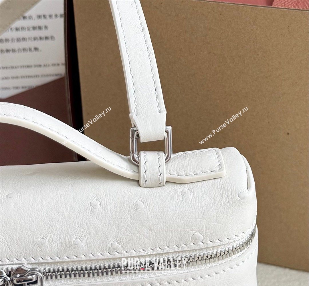Loro Piana LP Extra Pocket Pouch L19 in Ostrich Embossed Leather White/Silver 2026 FAI8393 (YY-260408025)