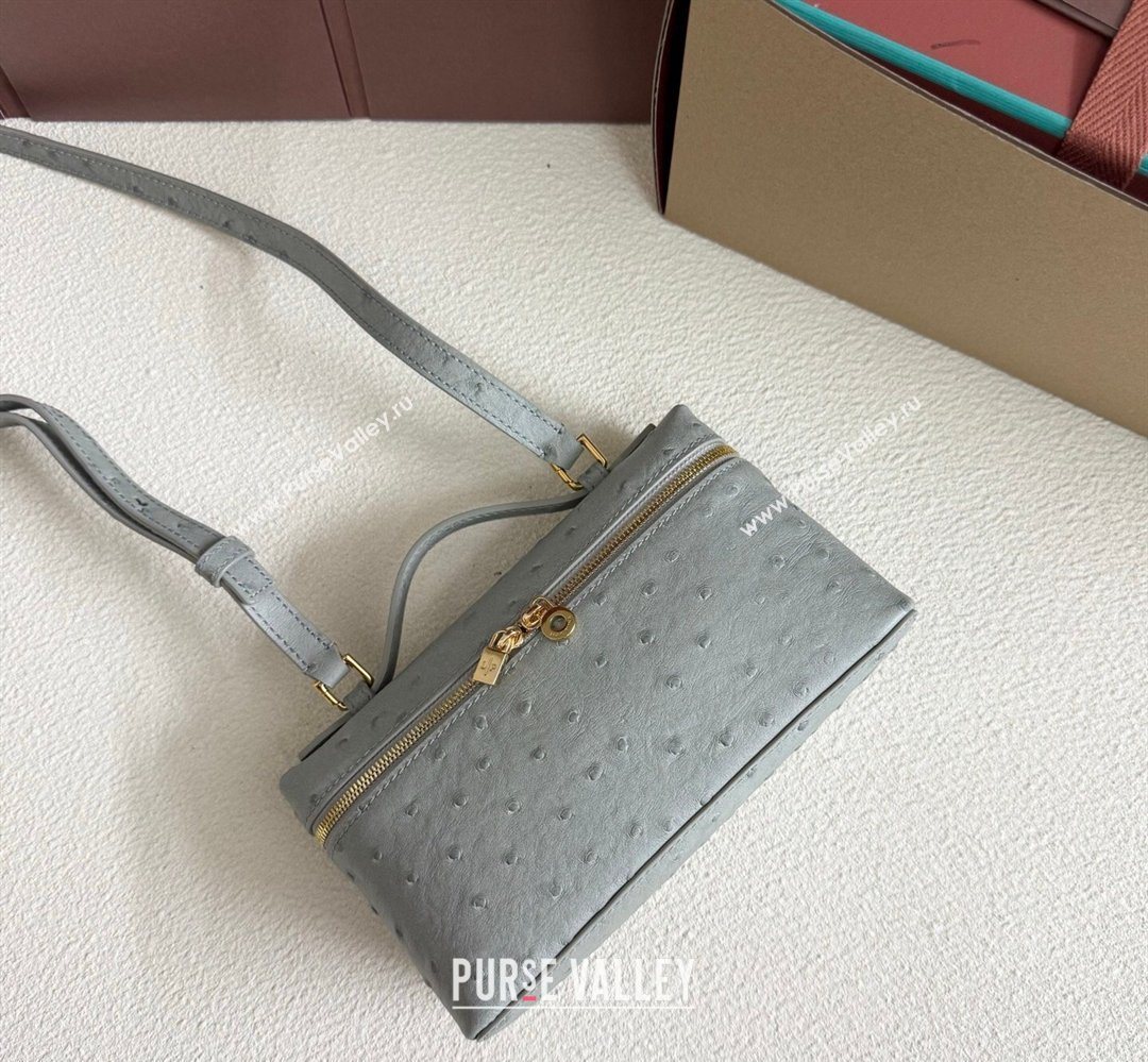 Loro Piana LP Extra Pocket Pouch L19 in Ostrich Embossed Leather Eucalyptus/Gold 2026 FAI8393 (YY-260408026)