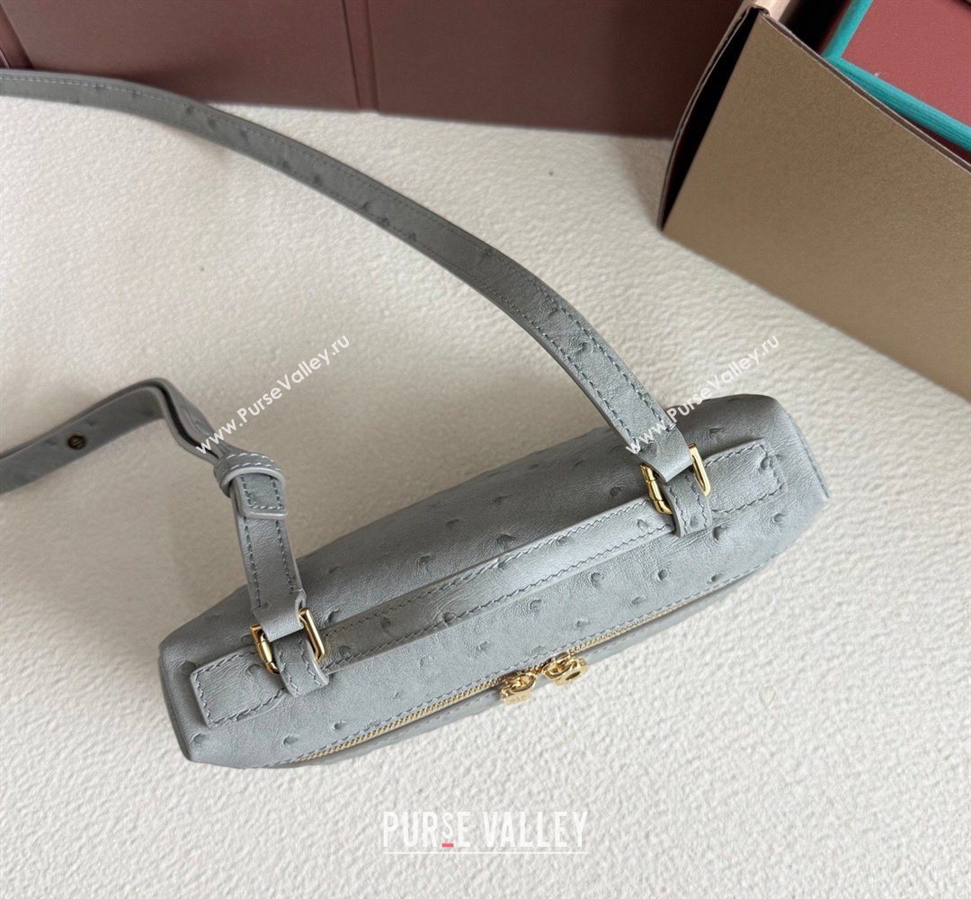 Loro Piana LP Extra Pocket Pouch L19 in Ostrich Embossed Leather Eucalyptus/Gold 2026 FAI8393 (YY-260408026)