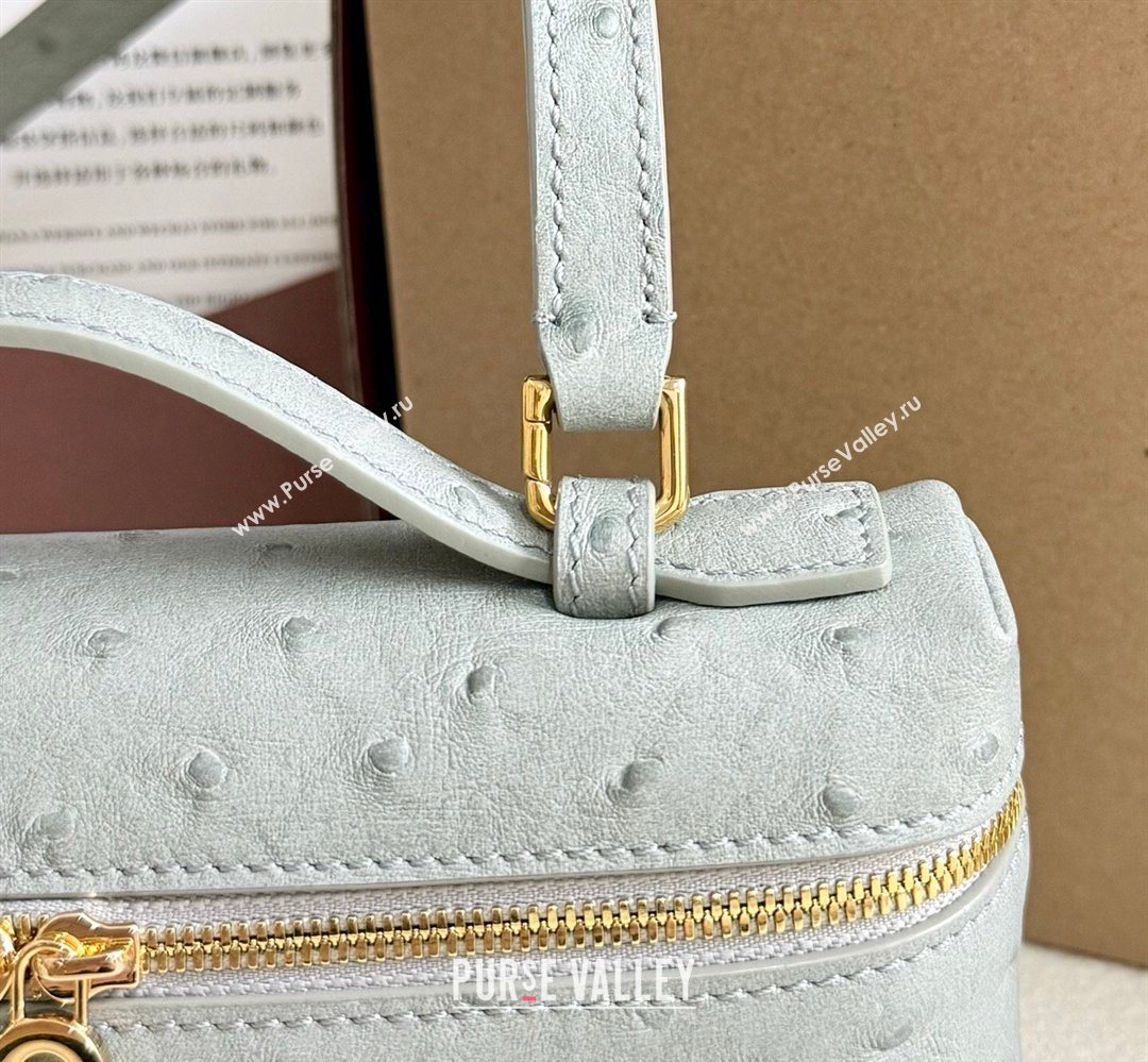 Loro Piana LP Extra Pocket Pouch L19 in Ostrich Embossed Leather Eucalyptus/Gold 2026 FAI8393 (YY-260408026)