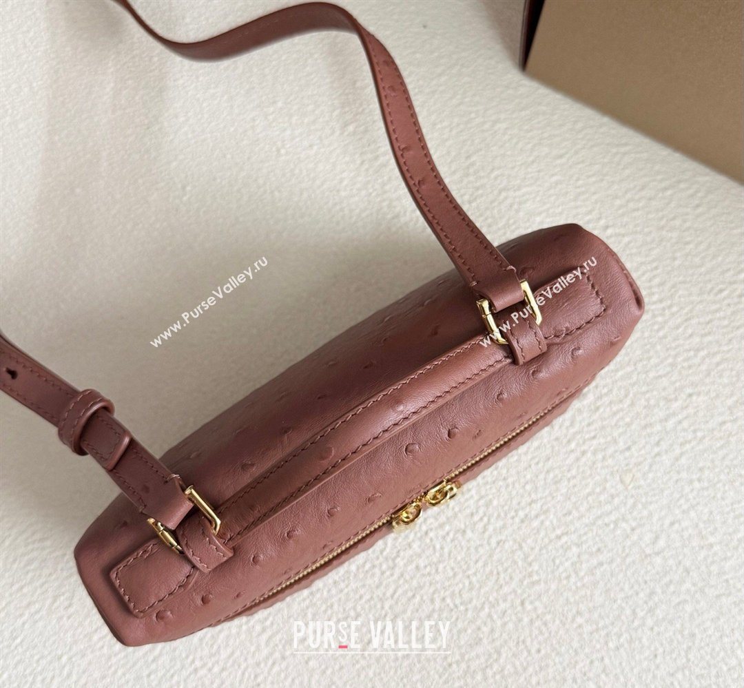 Loro Piana LP Extra Pocket Pouch L19 in Ostrich Embossed Leather Red Brick/Gold 2026 FAI8393 (YY-260408028)