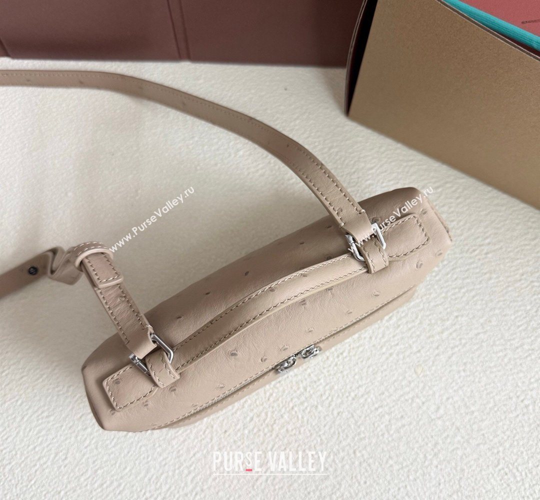 Loro Piana LP Extra Pocket Pouch L19 in Ostrich Embossed Leather Apricot/Silver 2026 FAI8393 (YY-260408031)