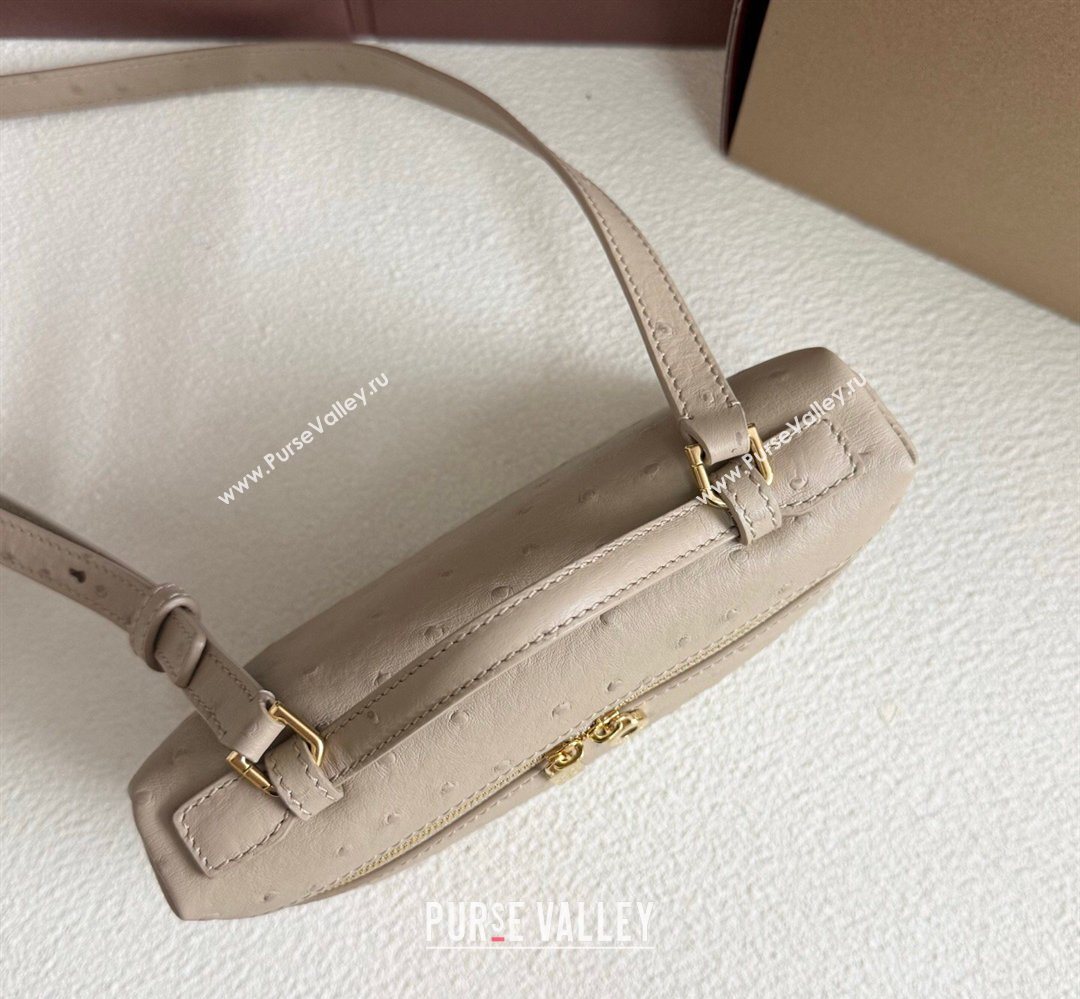 Loro Piana LP Extra Pocket Pouch L19 in Ostrich Embossed Leather Apricot/Gold 2026 FAI8393 (YY-260408032)